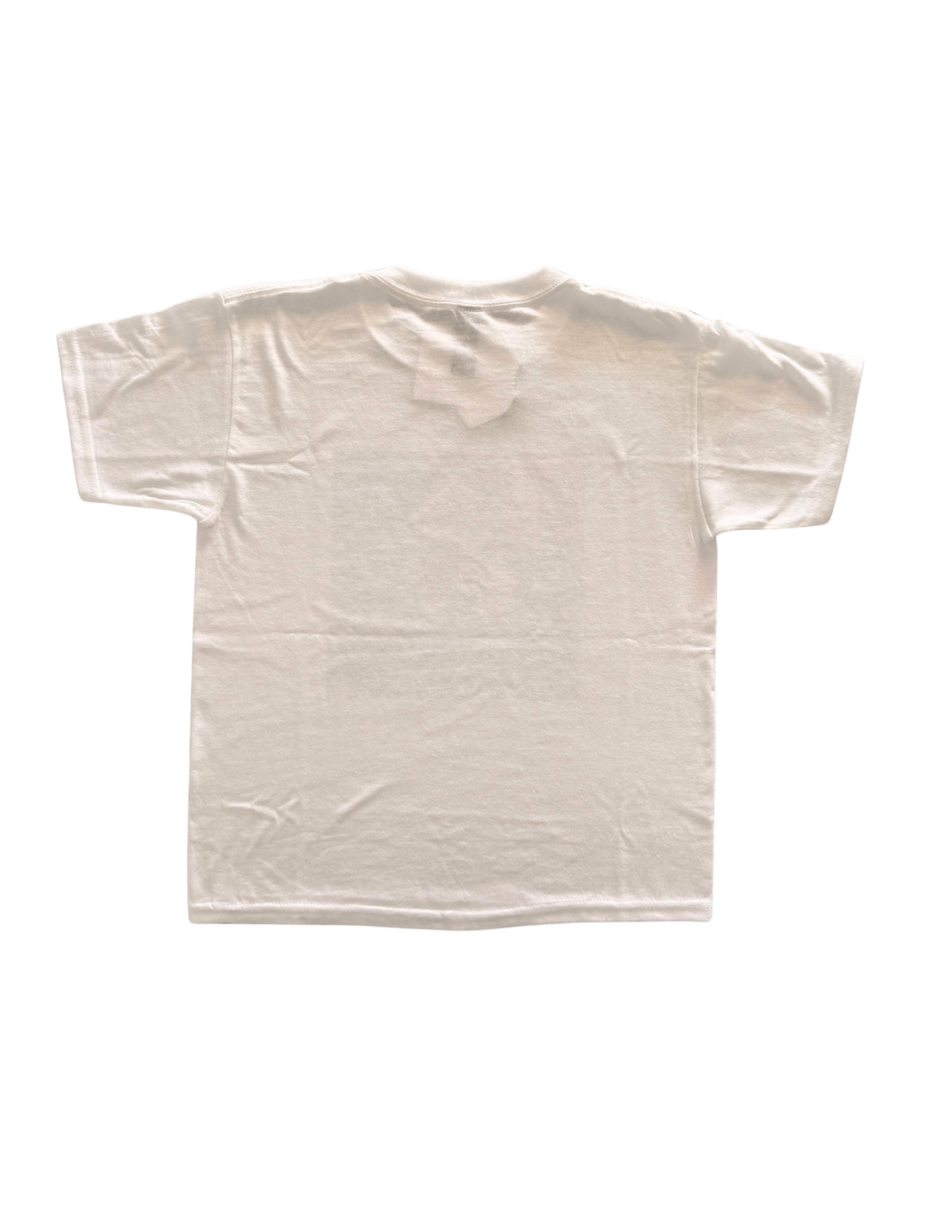 Gildan G640B YOUTH Softstyle T-Shirt – Jagged Edge