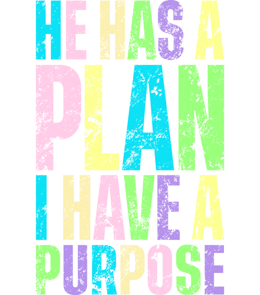 He Has a Plan I Have a Purpose - Summer Colors Graphic